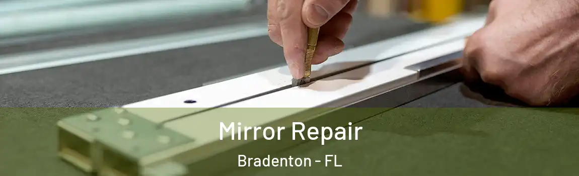 Mirror Repair Bradenton - FL